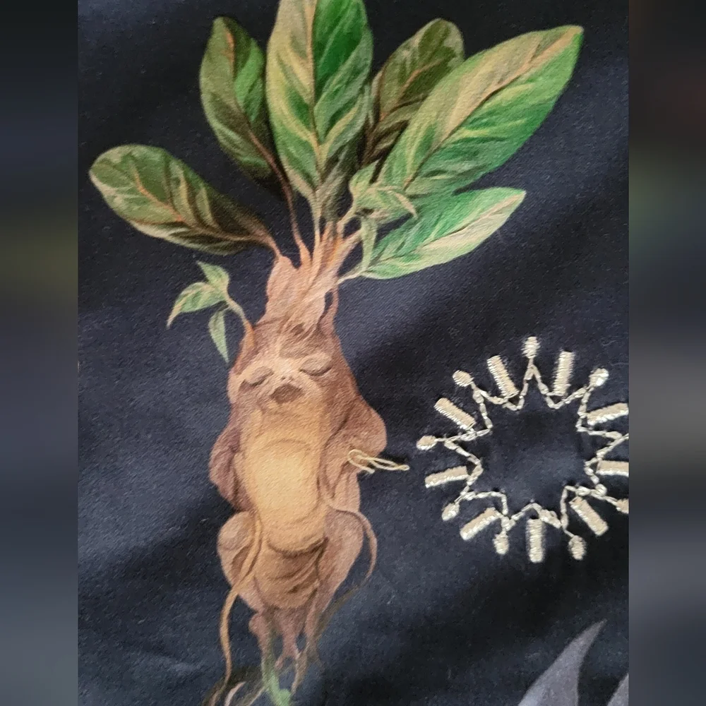 Pottery Barn Harry Potter HERBOLOGY Christmas Stocking Embroidered Whimsigoth